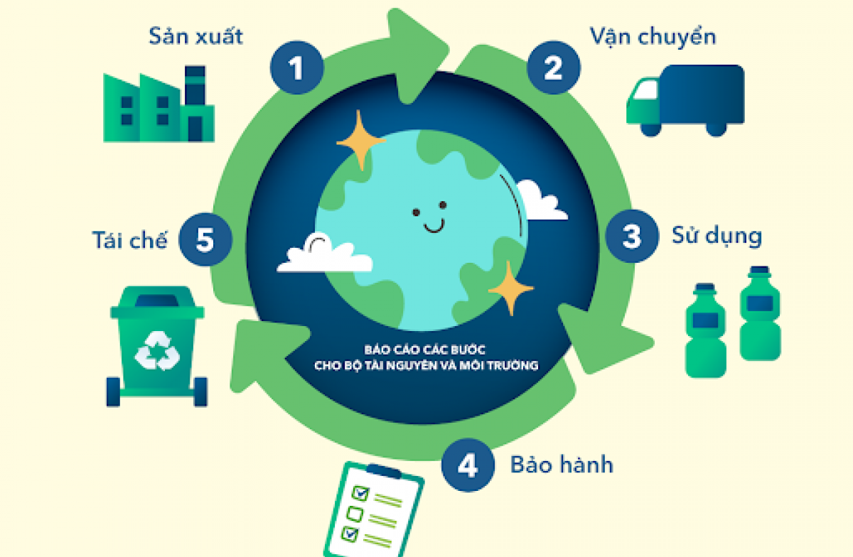 Ô nhiễm Nhựa và Kinh tế Tuần hoàn: Giải pháp Hệ thống cho Thách thức Toàn cầu