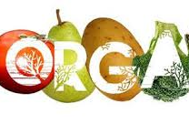 Dẫn xuất Halogen: Từ Nền Tảng Hóa Học Đến Ứng Dụng Trong Công Nghệ Thực Phẩm