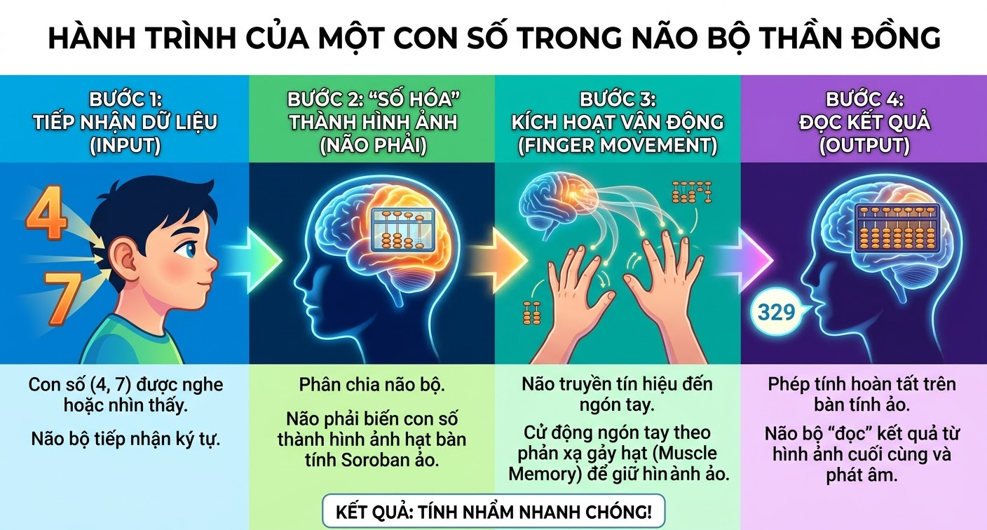 Bí Mật Đằng Sau Những Ngón Tay "Múa" Trong Không Trung Của Thần Đồng Toán Học