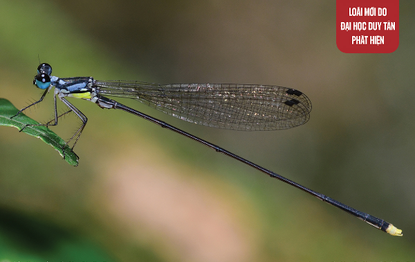 188bet - Giải Mã Bí Ẩn Trong Giấc Mơ cũng như Cơ Hội May Mắn Tại MM88