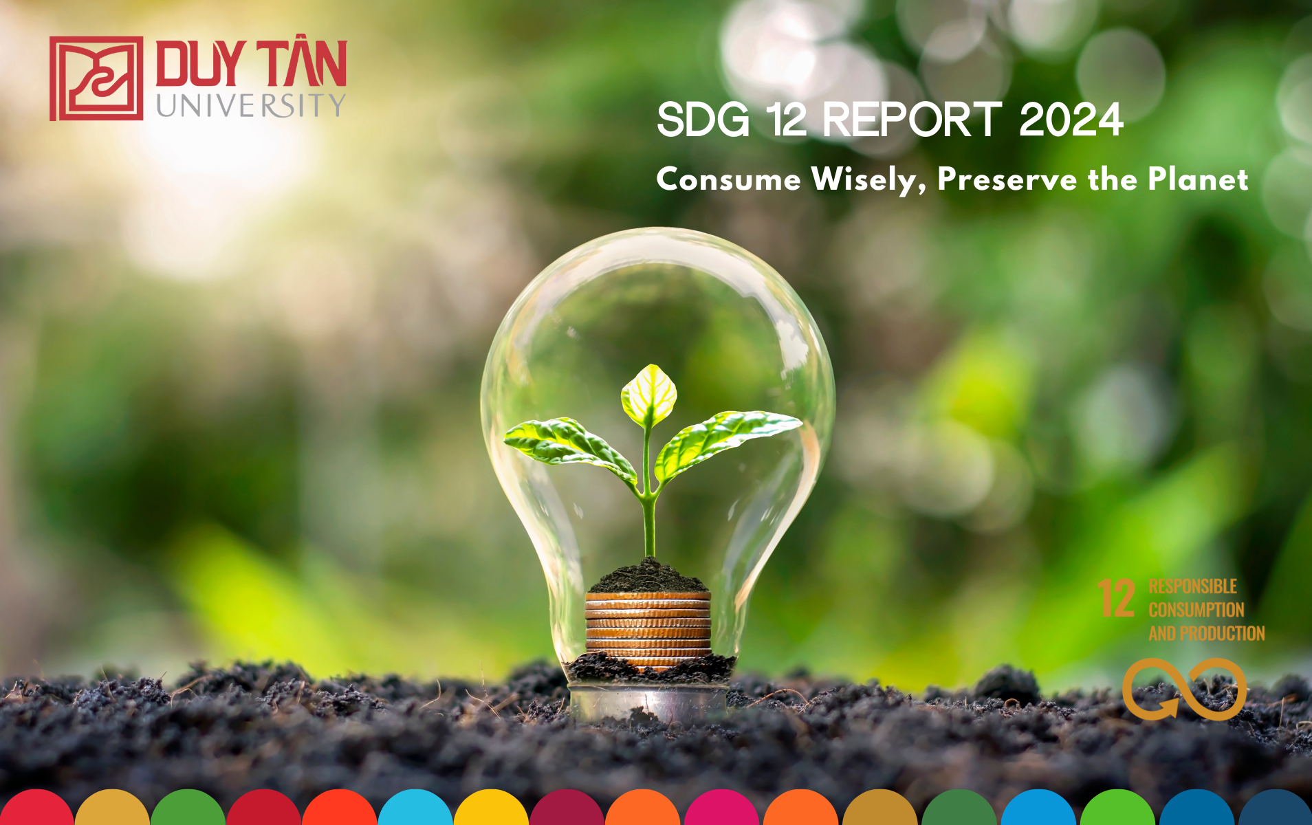 SDG 12 Progress Report 2024