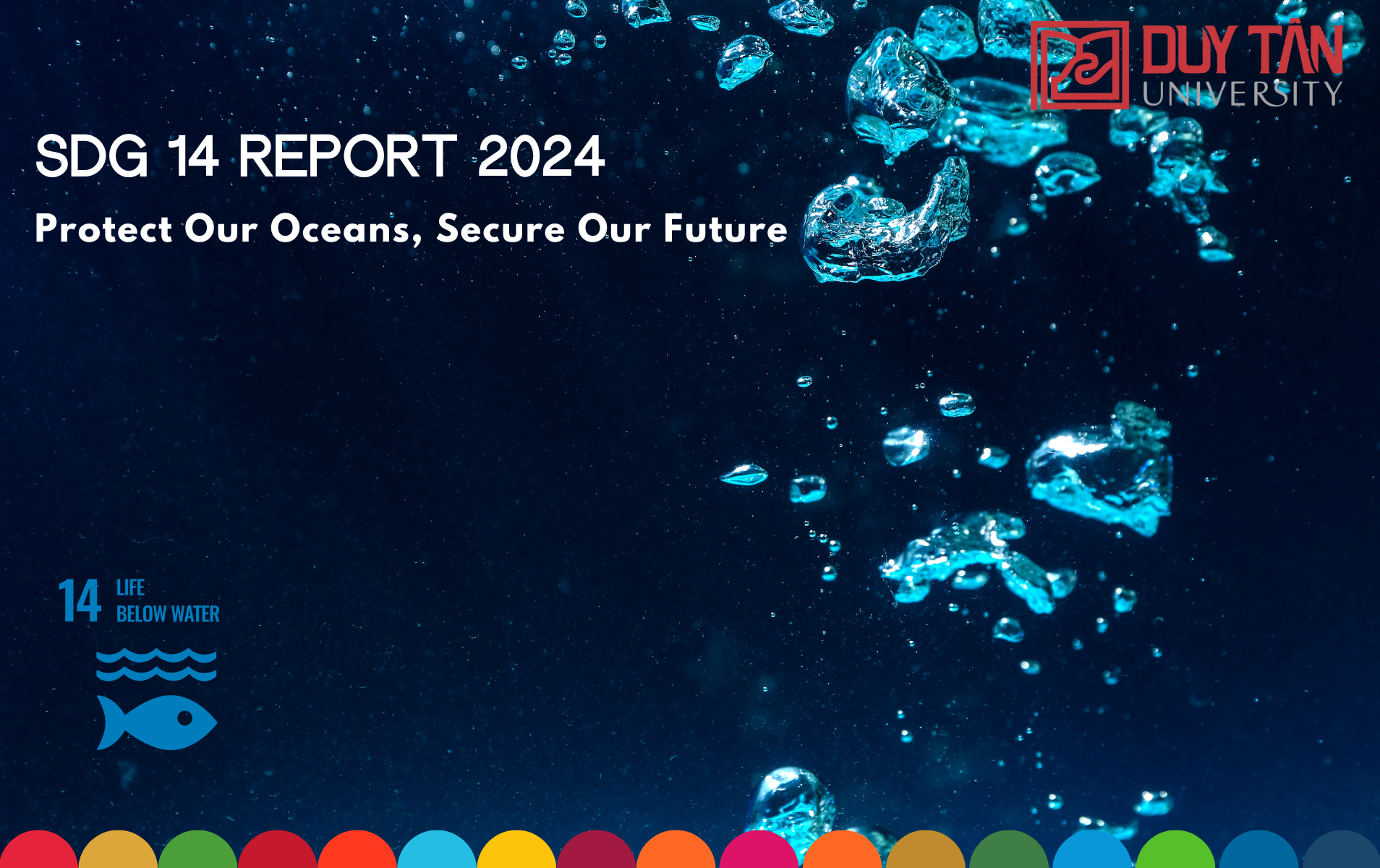 SDG 14 Progress Report 2024