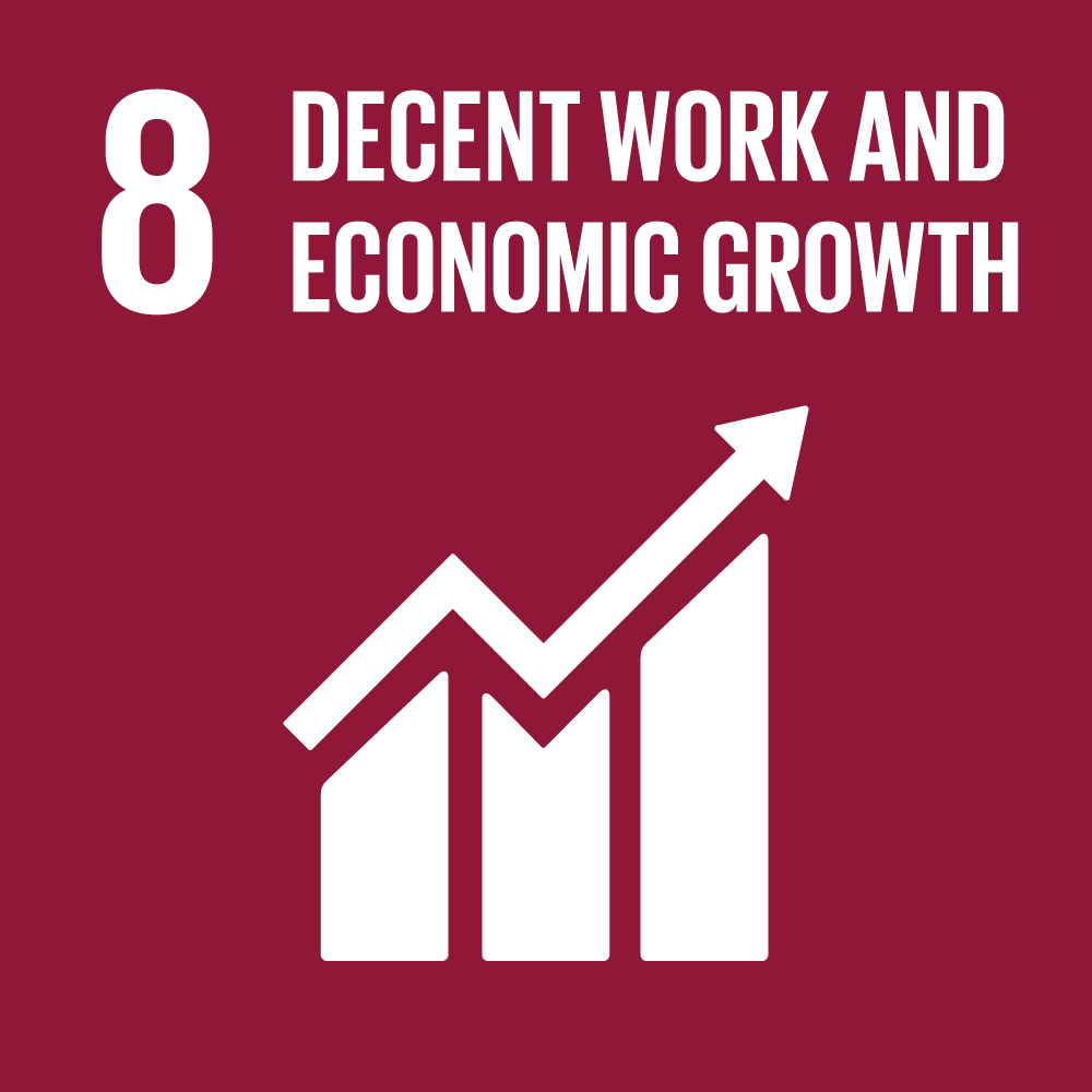 SDG 8. Decent Work and Economic Growth