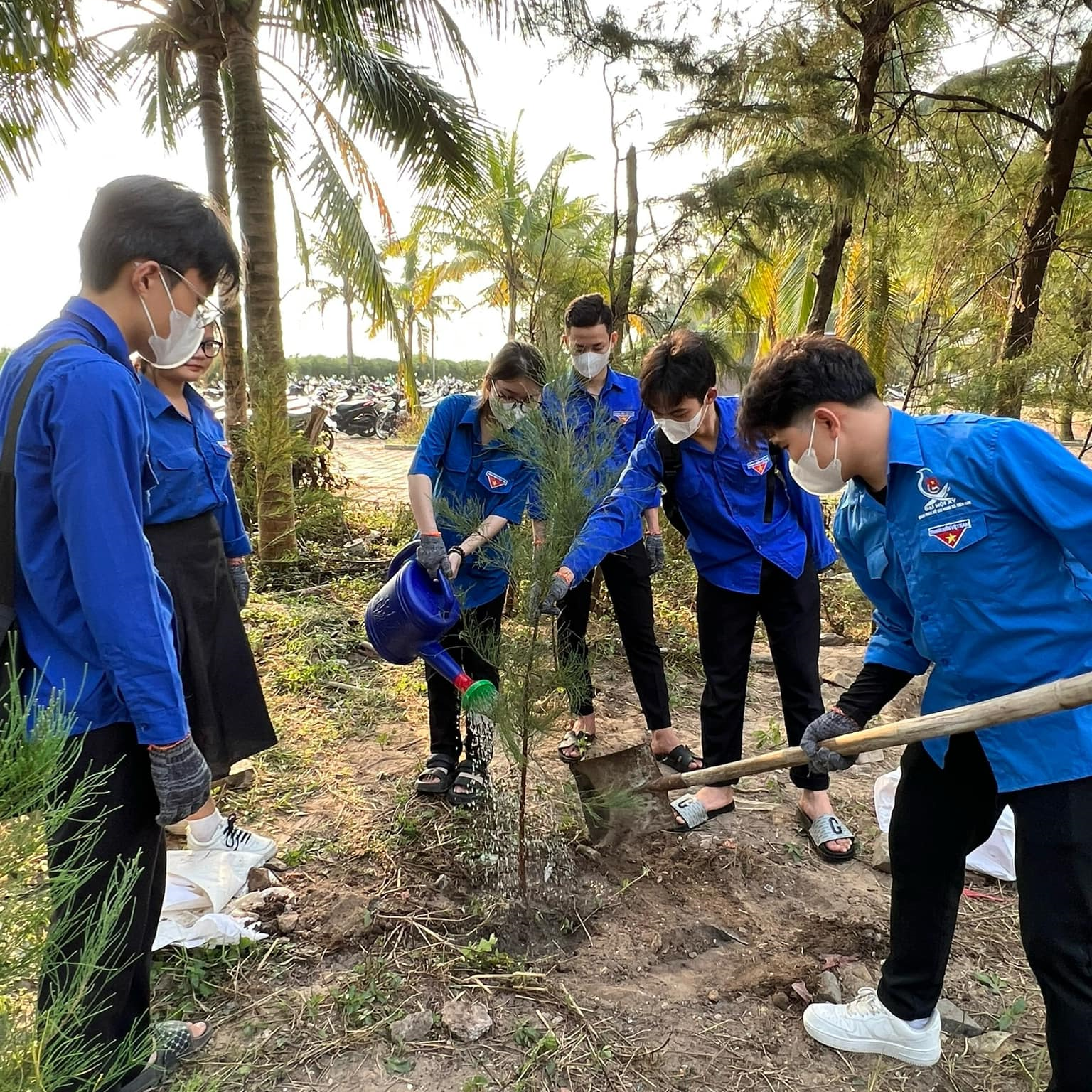 Cam kết của Đại học Duy Tân đối với SDG 15