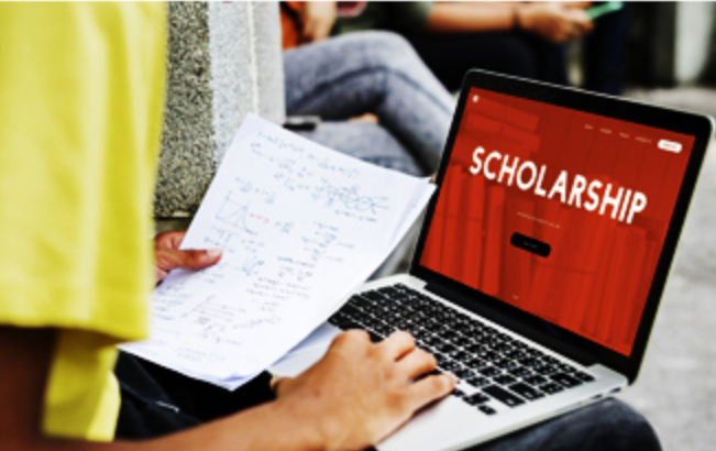 Talent Program Scholarship 2024