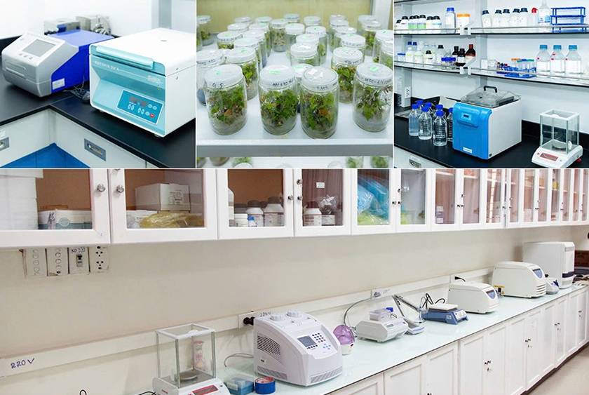 DTU Integrates Research Projects into Biotechnology and Bachelor of Pharmacy Programs