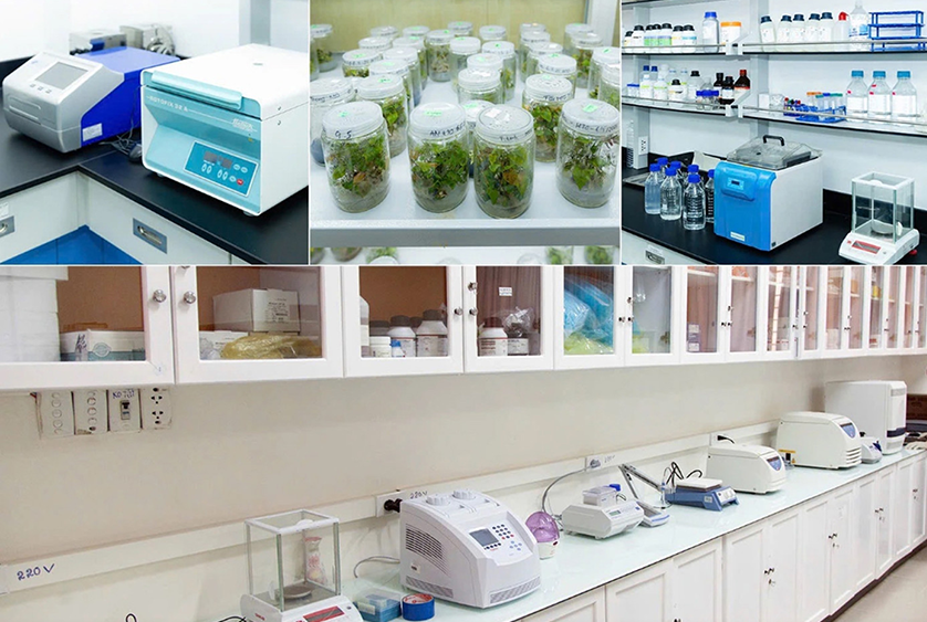 DTU Integrates Research Projects into Biotechnology and Bachelor of Pharmacy Programs