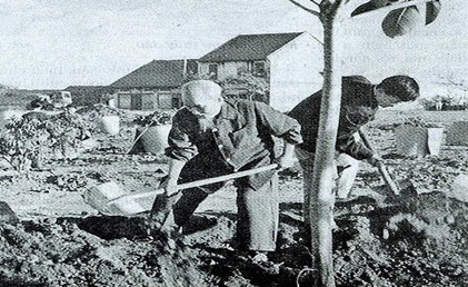 Bác Hồ với Tết trồng cây và triết lý sâu sắc về sự nghiệp “trồng người”