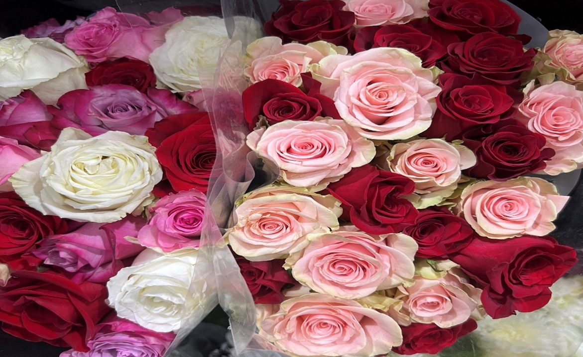 Suy nghĩ đời thường!