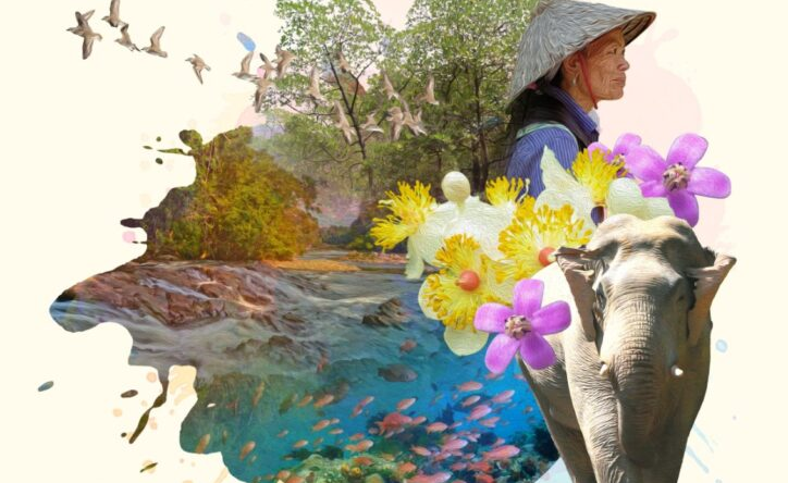 Hiệp định ASEAN về Bảo tồn Thiên nhiên và Tài nguyên Thiên nhiên năm 1985 – Một bước tiến cho phát triển bền vững khu vực