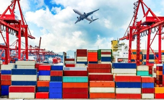 THƯƠNG MẠI VIỆT NAM – HOA KỲ TỪ 2020 – 2024
